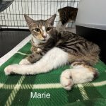 Marie