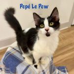 Pepe Le Paw