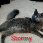 Stormy