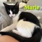 Marie