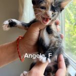 Angela