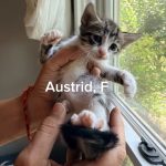 Austria