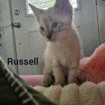 Russell