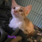Rusty