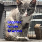 Sapphire