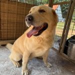 Medo/reserved