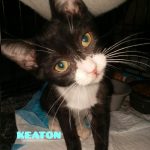 Keaton