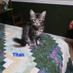 Titan