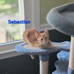 Sebastian