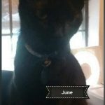 June