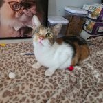 Matilda