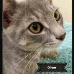Oliver