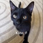 Kate