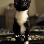 Nancy