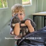 Seymour